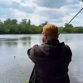 🎣