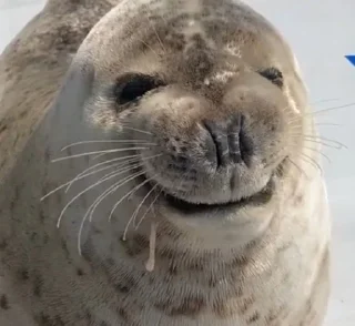 😁