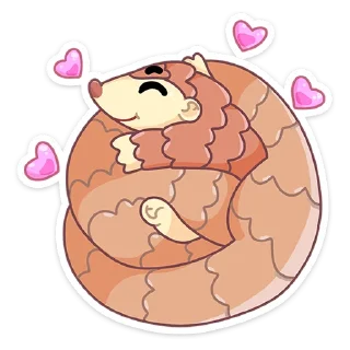 😍