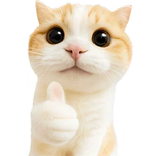 👍