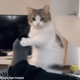 🥺