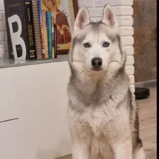 🌟