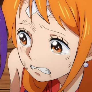 🍊