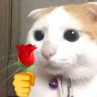 ❤️