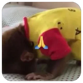 🙏