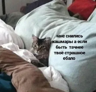🫢