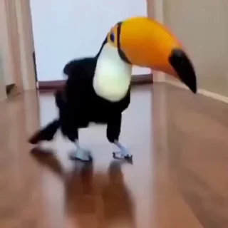 🤩