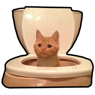🚽
