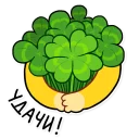 🍀