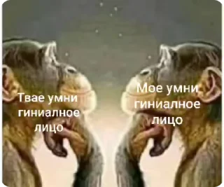 🧠