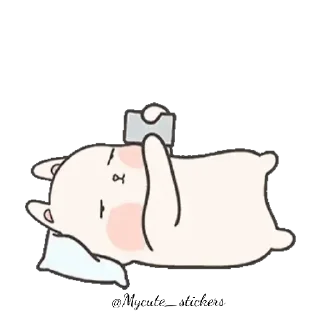 🐰