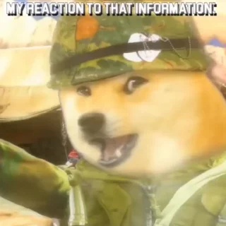 🇺🇸