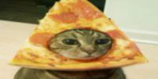 🍕