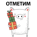 🐷