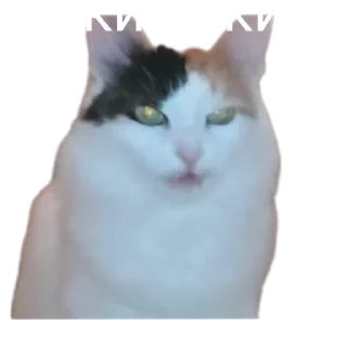 😤