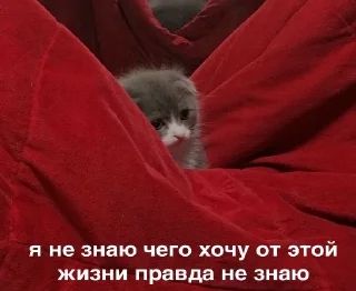 😢