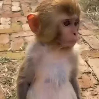🤓