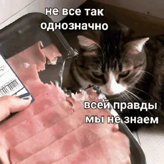 😶