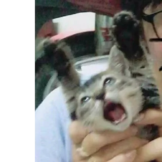 😱
