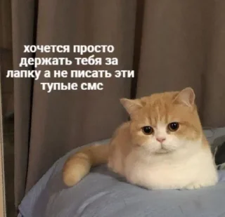 😕