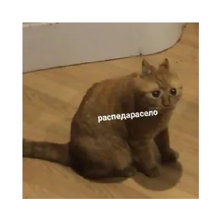 ☹️