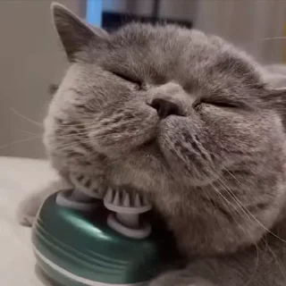 😌