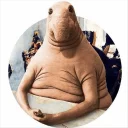 Elephant seal @ElOlive @Wapster