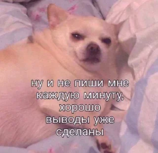 😒
