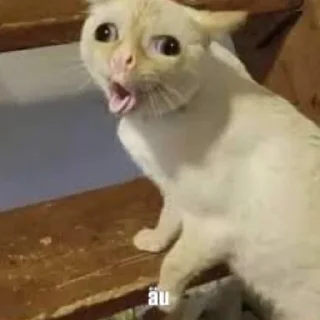 😄
