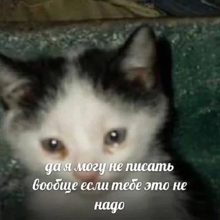 ☺️