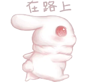 🐰