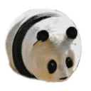 🐼