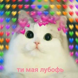 ❤️