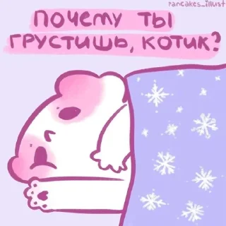 😿
