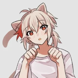 😽