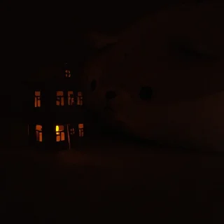 🏠