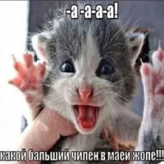 ☺️