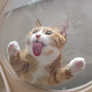 😛