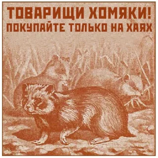 🐹