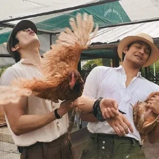 🌟