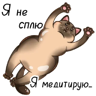 😴