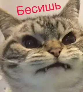 😡