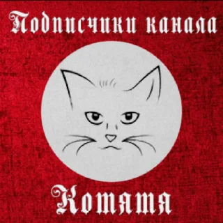 😺