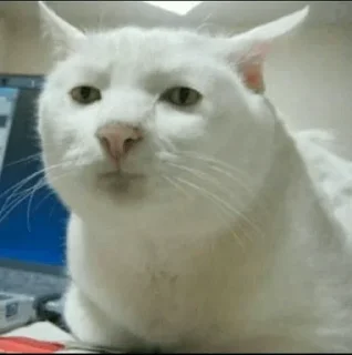 😐
