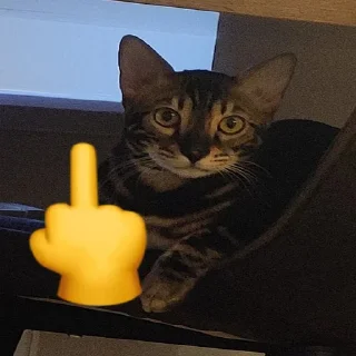 🖕