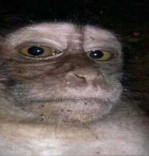 👀