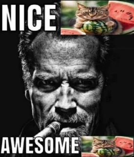 🍉