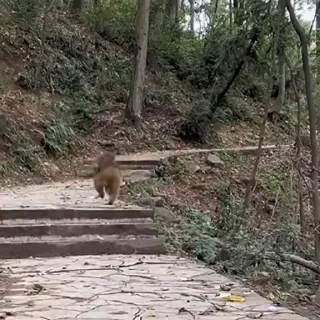 🤩