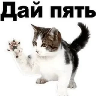 😄