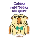 🐶